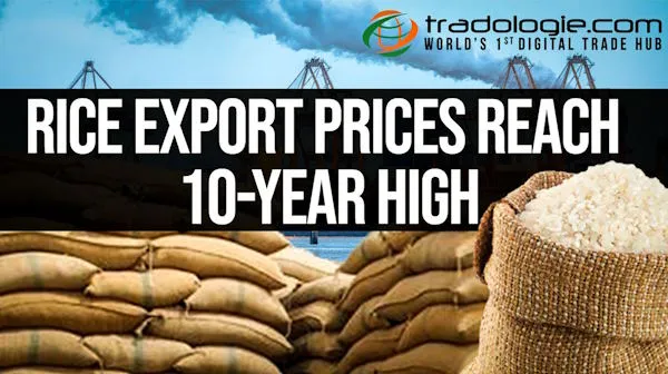 Rice Export Prices Reach 10-Year High