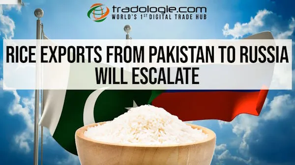 Rice Exports From Pakistan To Russia Will Escalate
