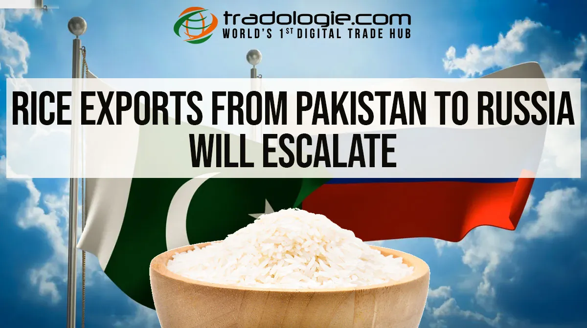 Rice Exports From Pakistan To Russia Will Escalate