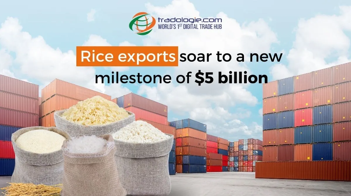 Rice Exports Soar to a New Milestone of $5 Billion