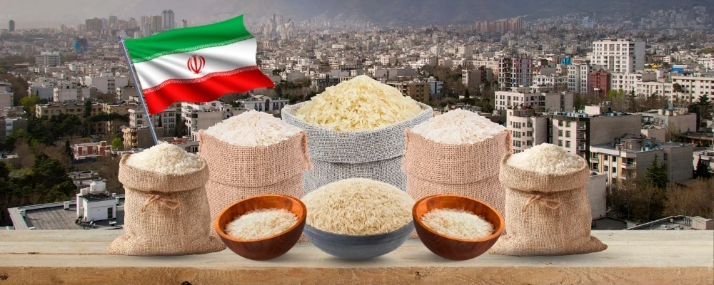 rice-importers-in-iran