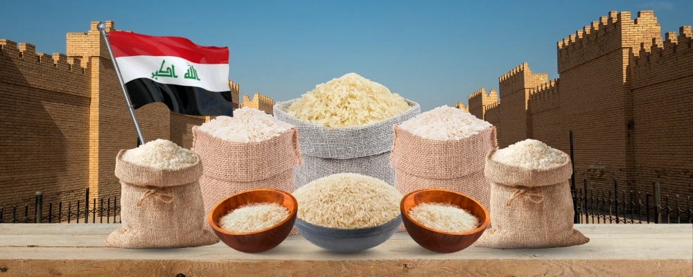 rice-importers-in-iraq