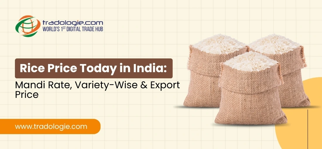 Rice Price Today in India: Mandi Rate, Variety-Wise & Export Price