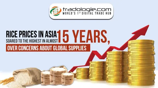 Rice Prices In Asia Soared To The Highest In Almost 15 Years