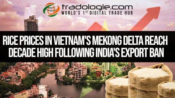 Rice Prices In Vietnam Mekong Delta Reach Decade High Following India Export Ban