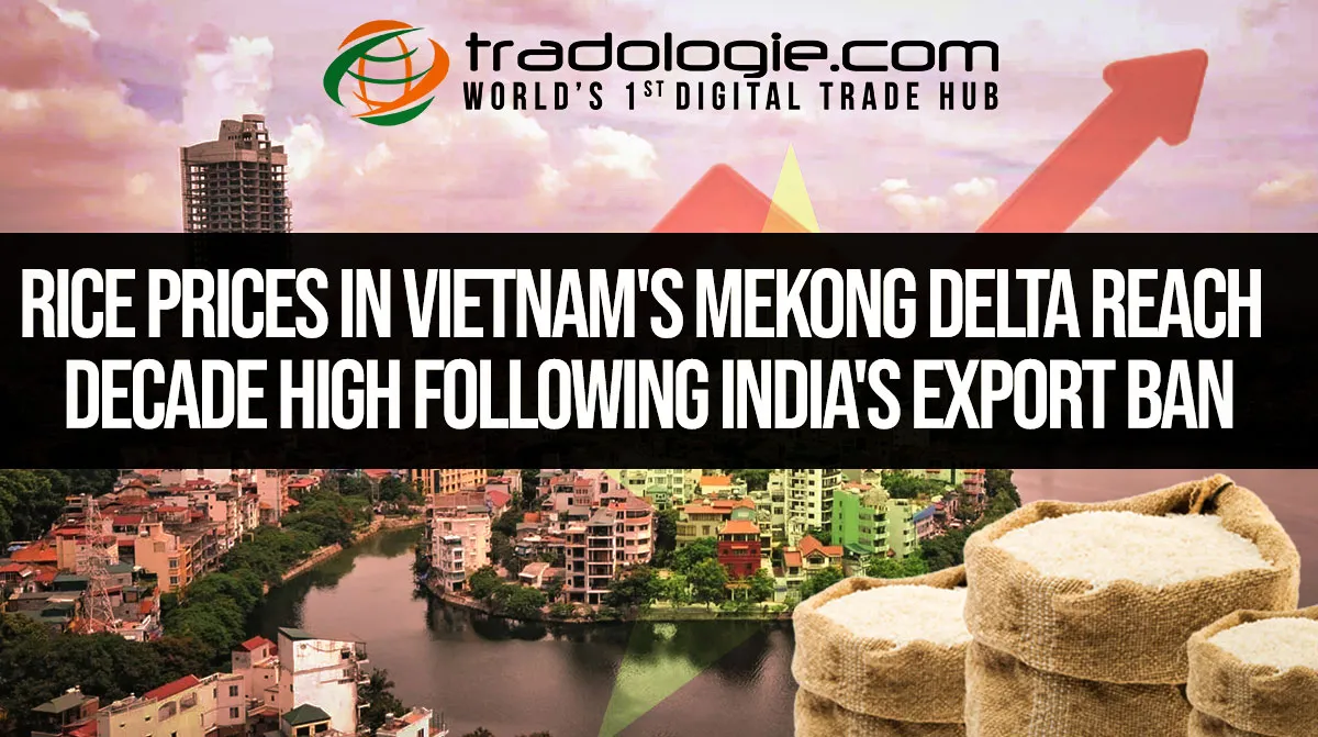 Rice Prices In Vietnams Mekong Delta Reach Decade High Following India Export Ban Rice Prices In Vietnams Mekong Delta Reach Decade High Following India Export Ban