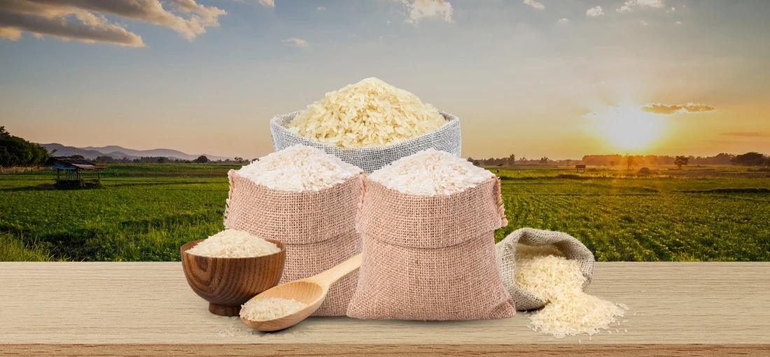rice-rice-banner