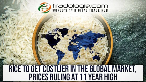 Rice To Get Costlier In The Global Market, Prices Ruling At 11 Year High