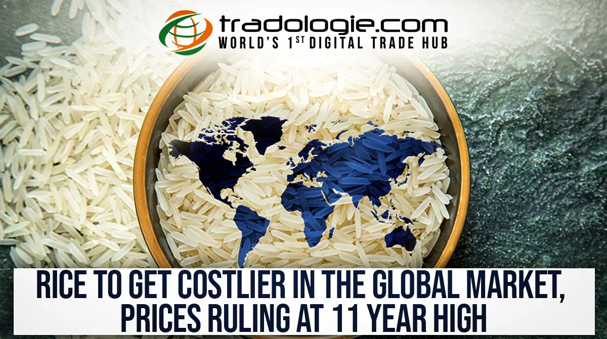 Rice To Get Costlier In The Global Market, Prices Ruling At 11 Year High Rice To Get Costlier In The Global Market, Prices Ruling At 11 Year High