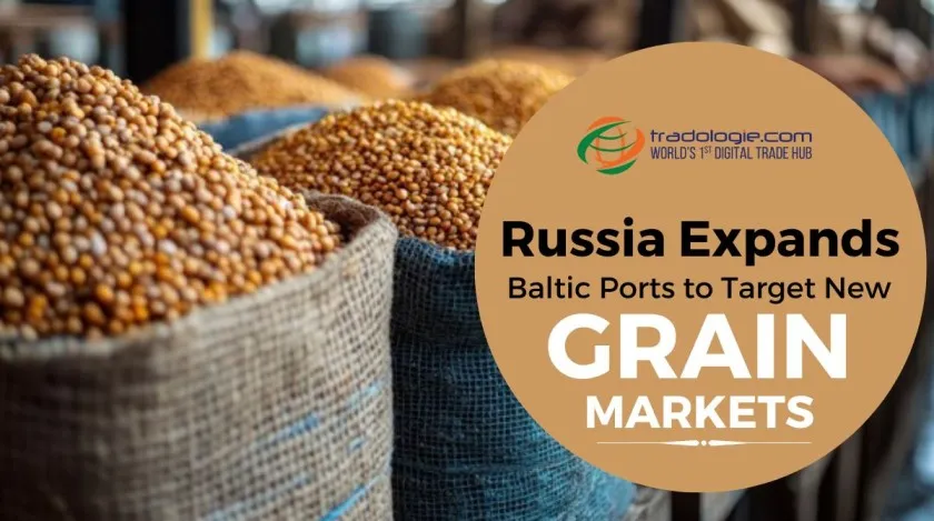 Russia Expands Baltic Ports to Target New Grain Markets