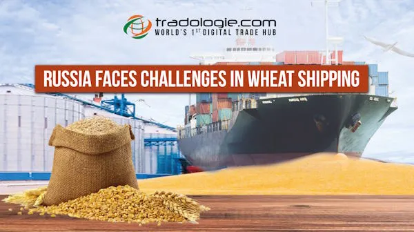 Russia Faces Challenges In Wheat Shipping