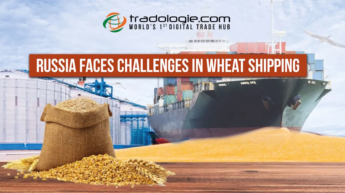 Russia Faces Challenges In Wheat Shipping