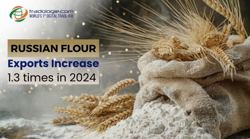 Russian Flour Exports Increase 1.3 Times in 2024