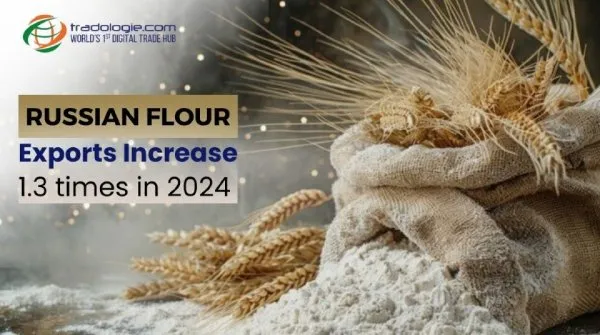 Russian Flour Exports