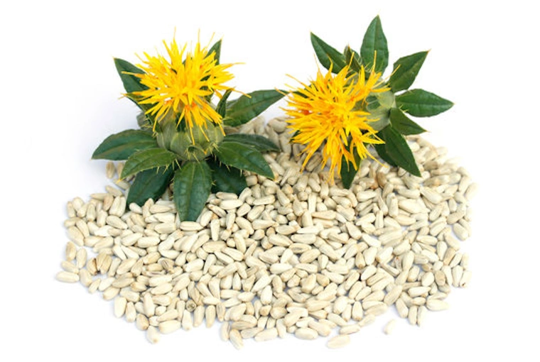 Safflower New Crop