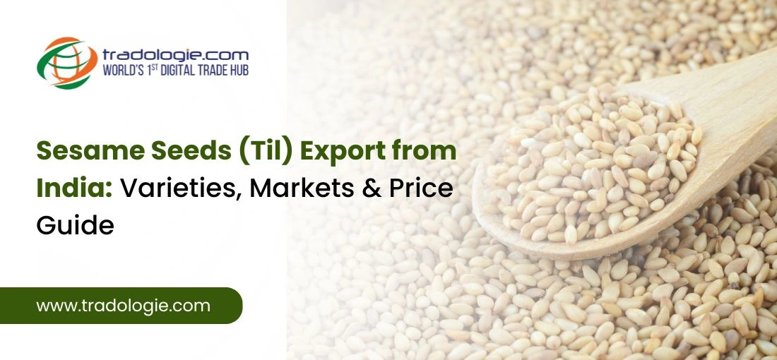 sesame-seeds-export-from-india