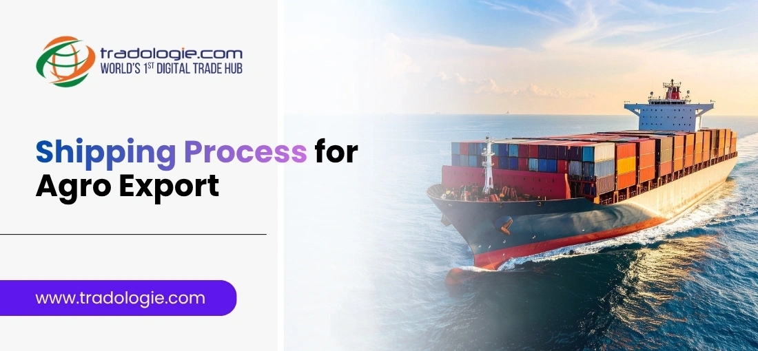 The Definitive Guide to the Shipping Process for Bulk Agro Exports