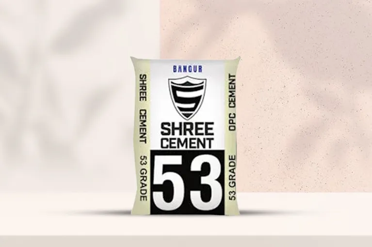 Shree Cement OPC 53