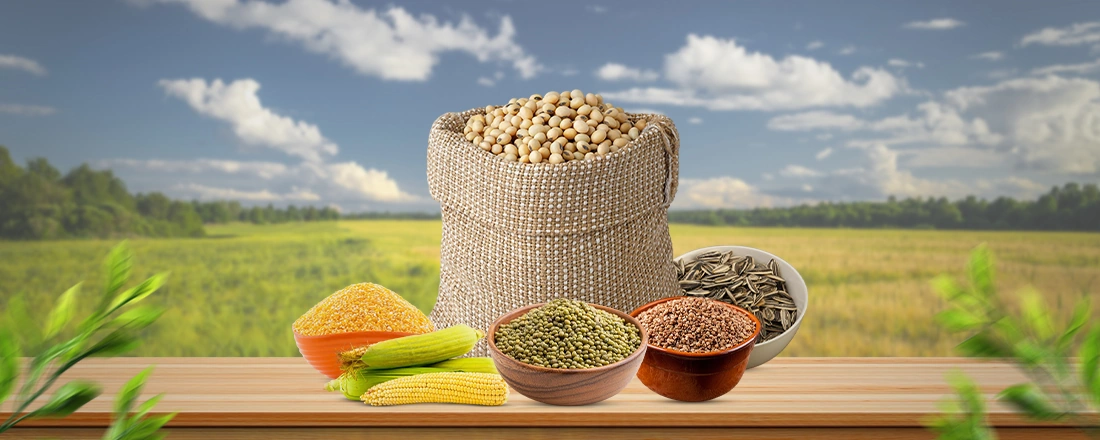 Shree Raghavendra Agro Processors