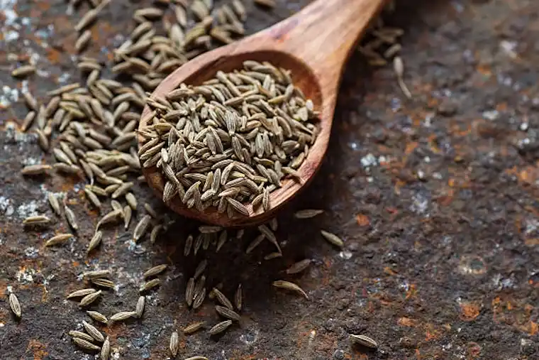 SINGAPORE CUMIN SEEDS