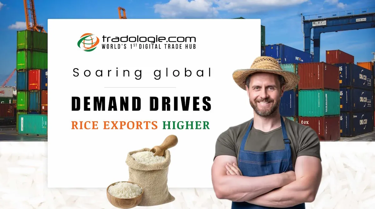 Soaring Global Demand Drives Rice Exports Higher