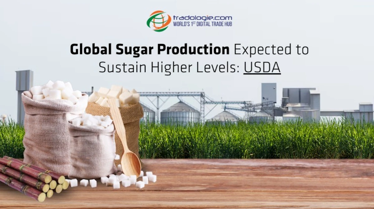 Southeast Asia's Sugar Surge: Market Dynamics and Price Implications
