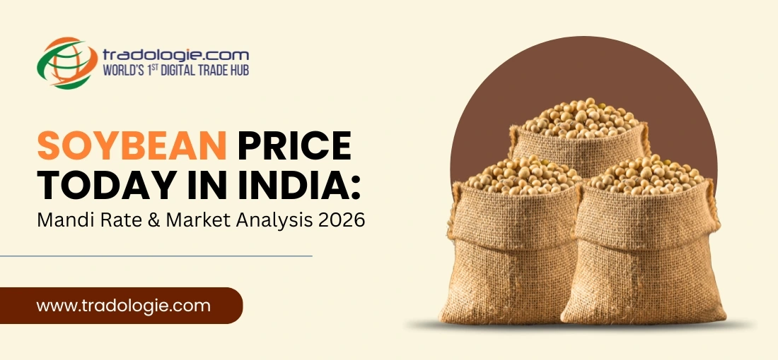 Soybean Price Today in India: Mandi Rate & Market Analysis 2026