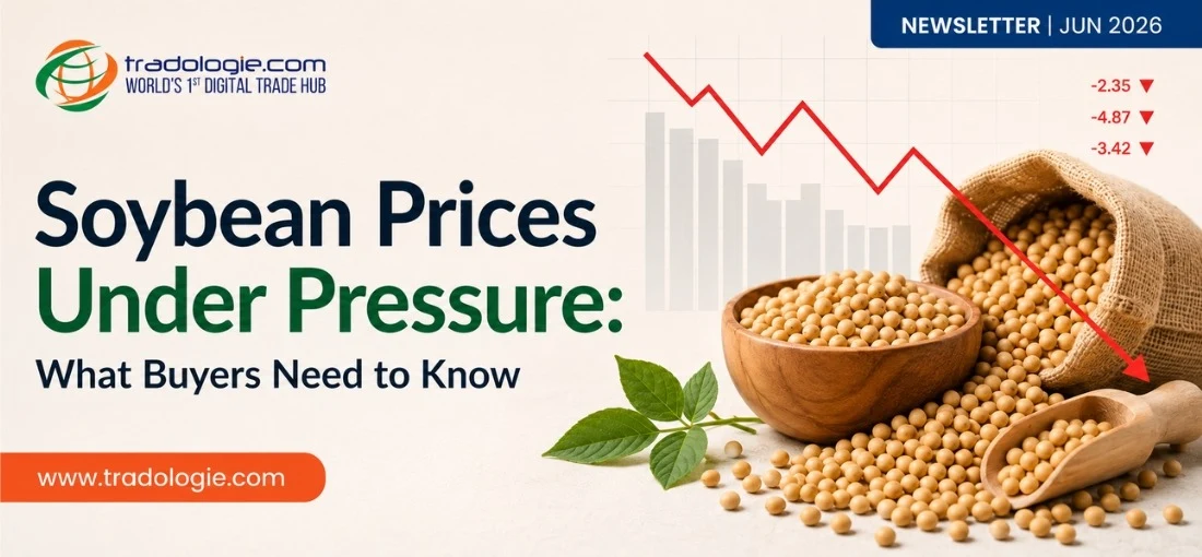 Soybean Prices Under Pressure