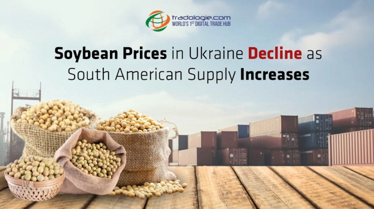 Soybean Prices in Ukraine Decline as South American Supply Increases