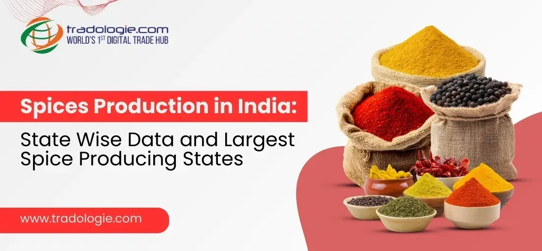 Spices Production in India: State Wise Data and Largest Spice Producing States