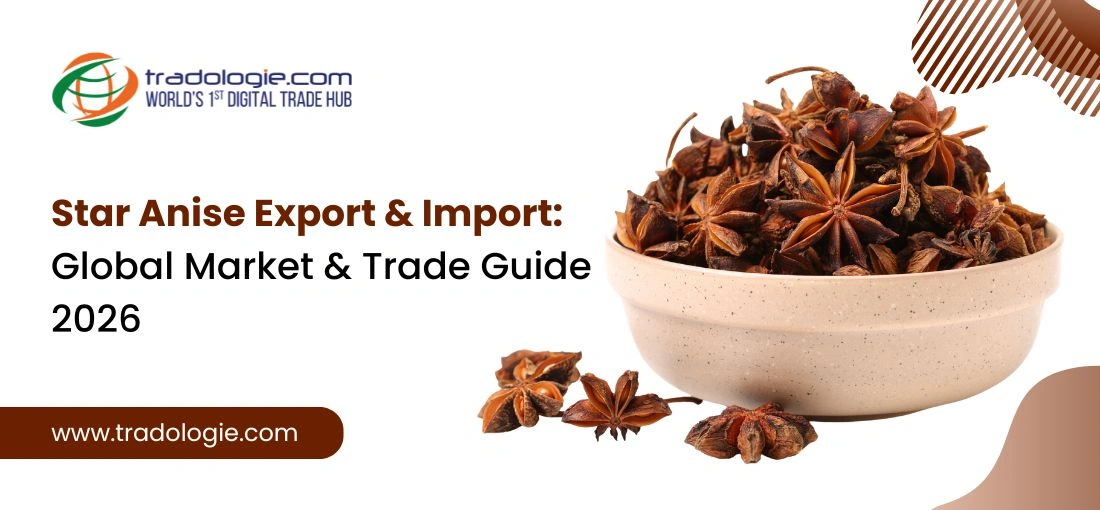 Star Anise Export & Import: Global Market & Trade Guide 2026
