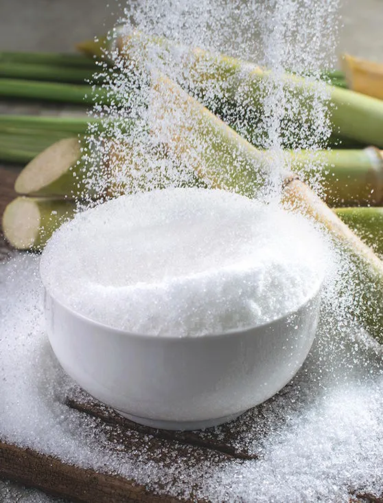 Sugar