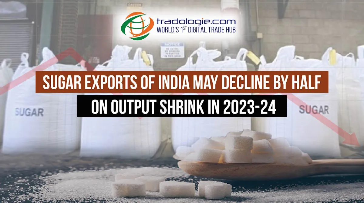 Sugar Exports of India May Decline By Half On Output Shrink in 2023-24 Sugar Exports of India May Decline By Half On Output Shrink in 2023-24