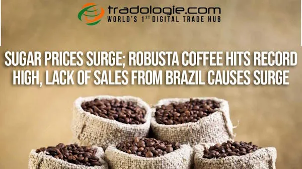Sugar Futures Rise Robusta Coffee Hits Record High
