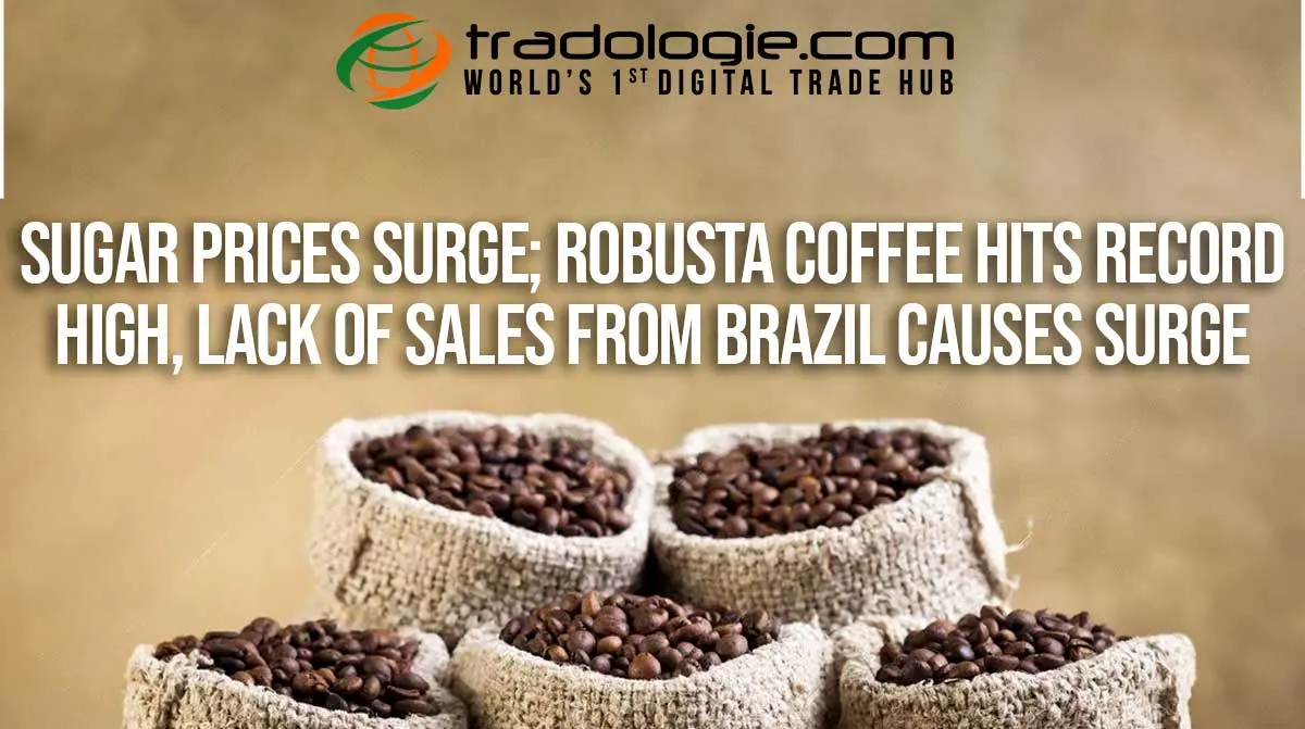 Sugar Futures Rise Robusta Coffee Hits Record High, Lack Of Sales From Brazil Causes Surge Sugar Futures Rise Robusta Coffee Hits Record High, Lack Of Sales From Brazil Causes Surge