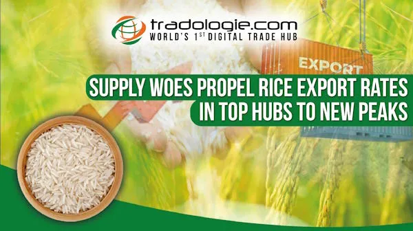 Supply Woes Propel Rice Export Rates In Top Hubs To New Peaks