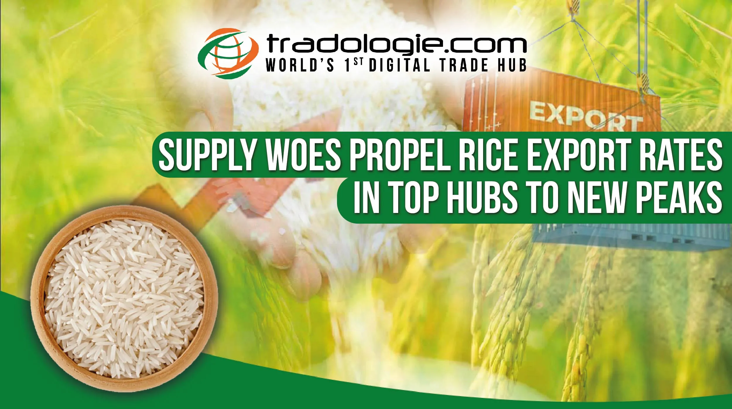Supply Woes Propel Rice Export Rates In Top Hubs To New Peaks