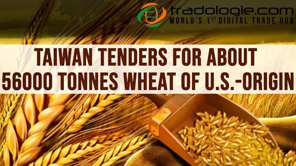Taiwan Tenders For About 56000 Tonnes Wheat Of U.S.-Origin