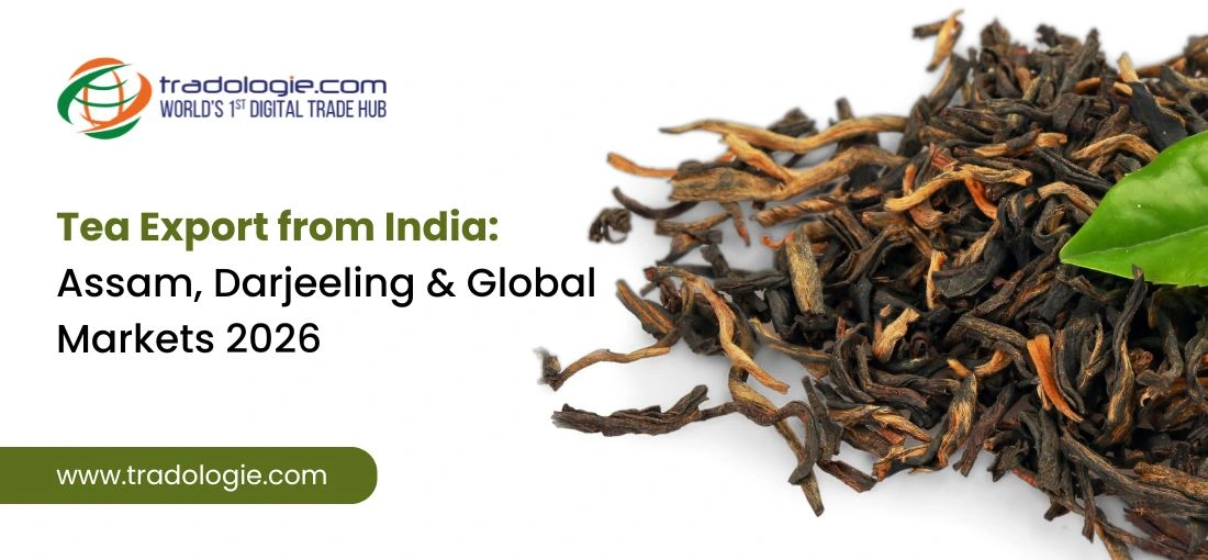 Navigating the 2026 Landscape