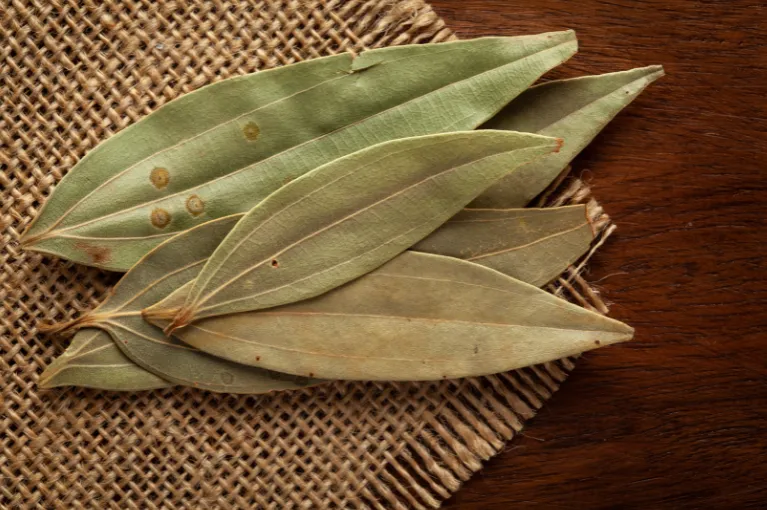 Tej Patta Bay Leaves