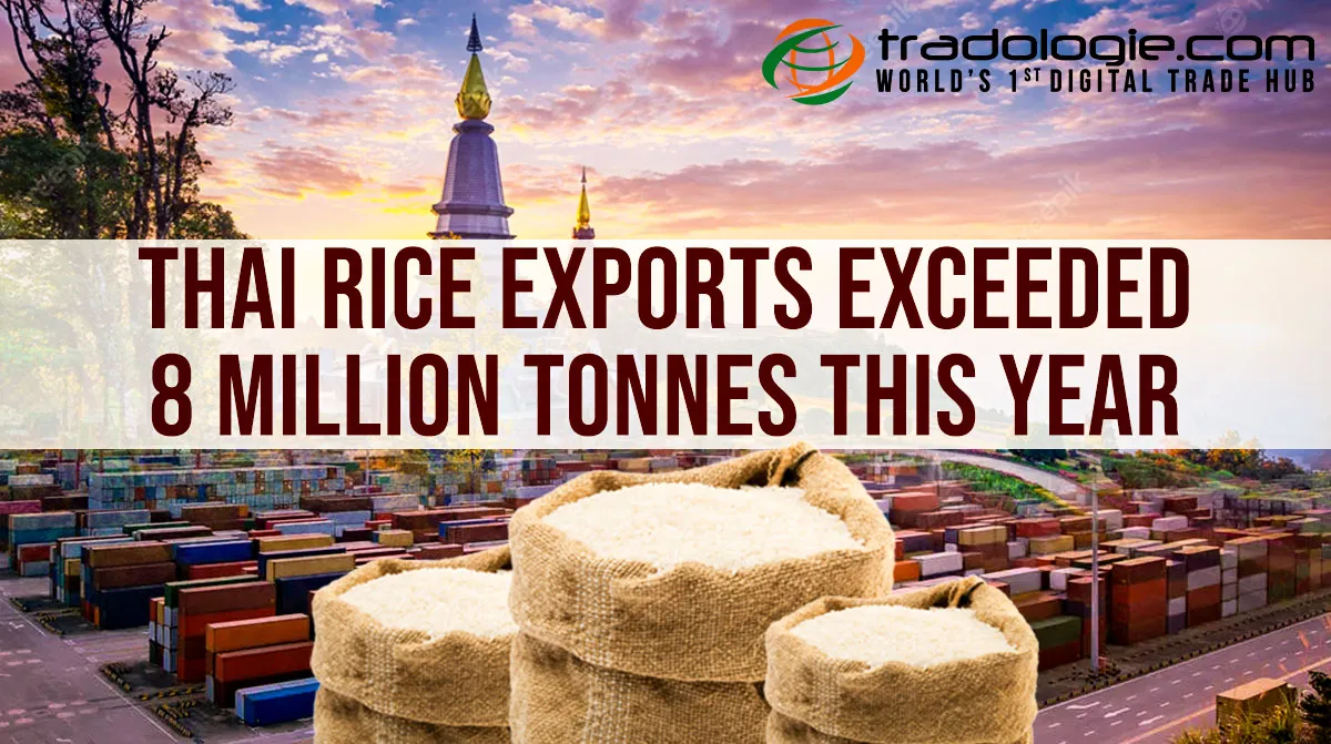 Thai Rice Exports Exceeded 8 Million Tonnes This Year