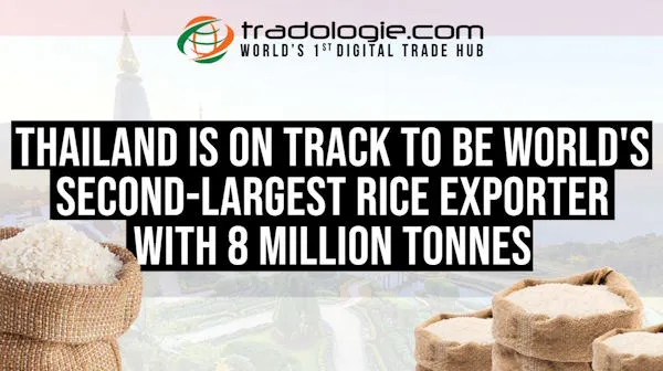 Thailand Is On Track To Be World Second-Largest Rice Exporter