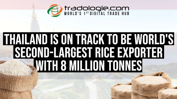 Thailand Is On Track To Be World's Second-Largest Rice Exporter With 8 Million Tonnes