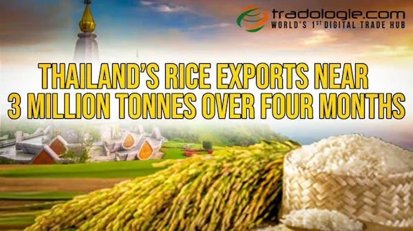 Thailand’s Rice Exports Near 3 Million Tonnes Over Four Months Of 2023