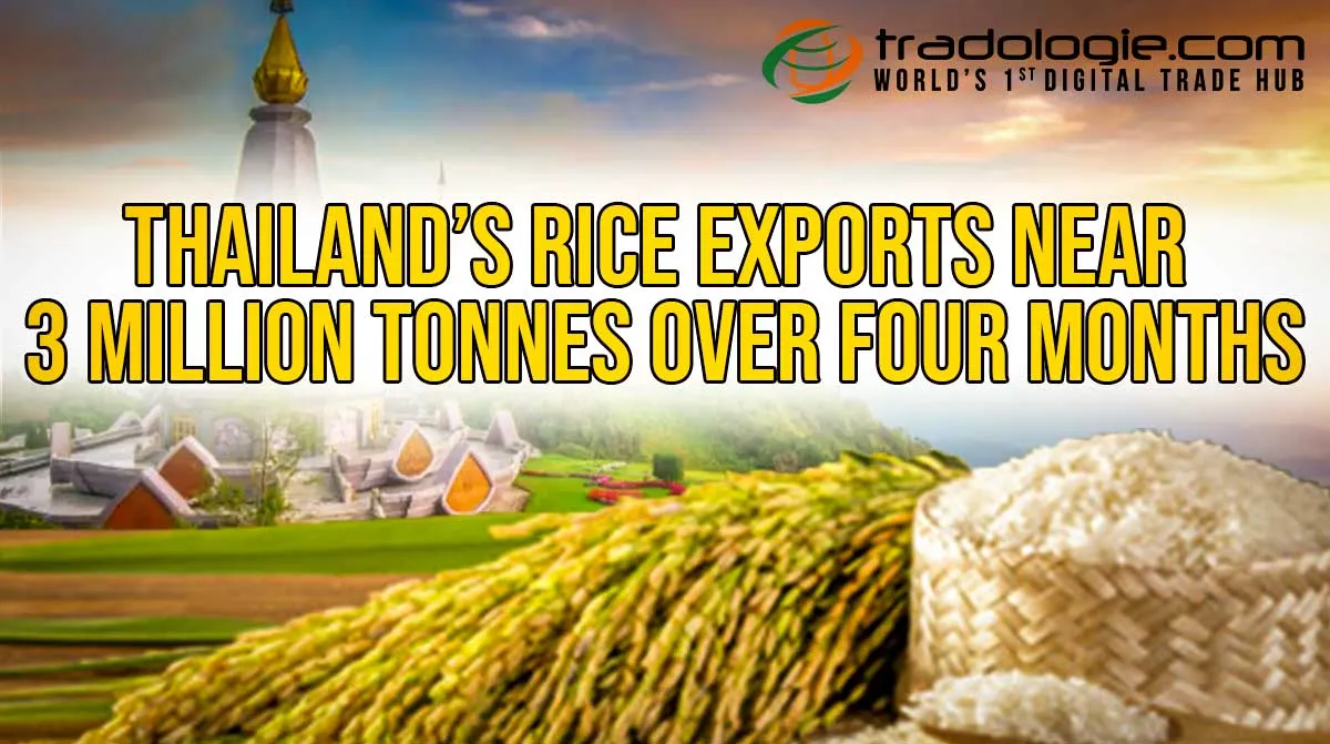Thailand’s Rice Exports Near 3 Million Tonnes Over Four Months Of 2023