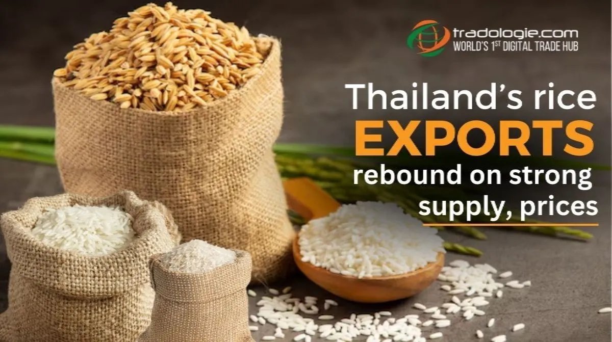 Thailand's Rice Exports Rebound On Strong Supply, Prices
