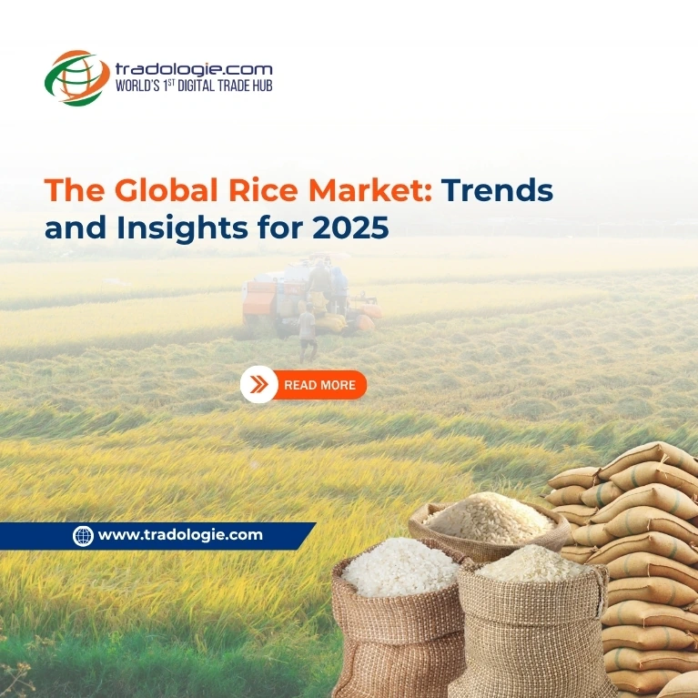 The Global Rice Market: Trends and Insights for 2025
