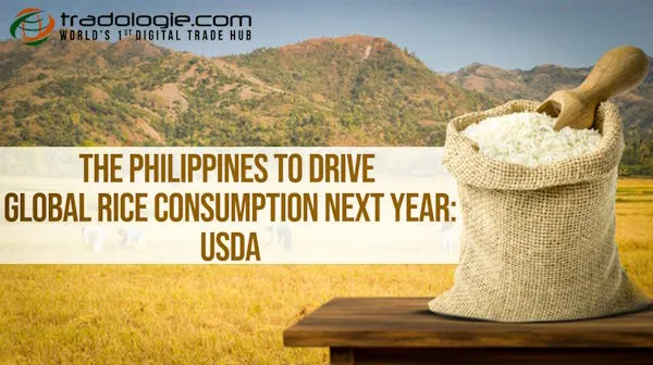 The Philippines To Drive Global Rice Consumption Next Year: USDA