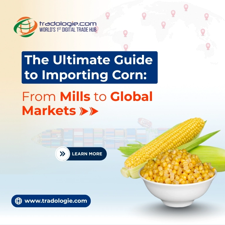 The Ultimate Guide to Importing Corn: From Mills to Global Markets