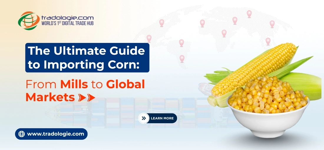 The Ultimate Guide to Importing Corn: From Mills to Global Markets The Ultimate Guide to Importing Corn: From Mills to Global Markets